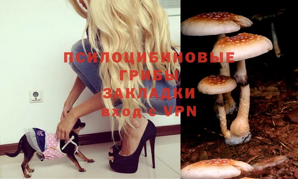 дистиллят марихуана Новодвинск