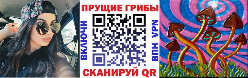 что такое наркотик  Аткарск  Псилоцибиновые грибы мицелий 
